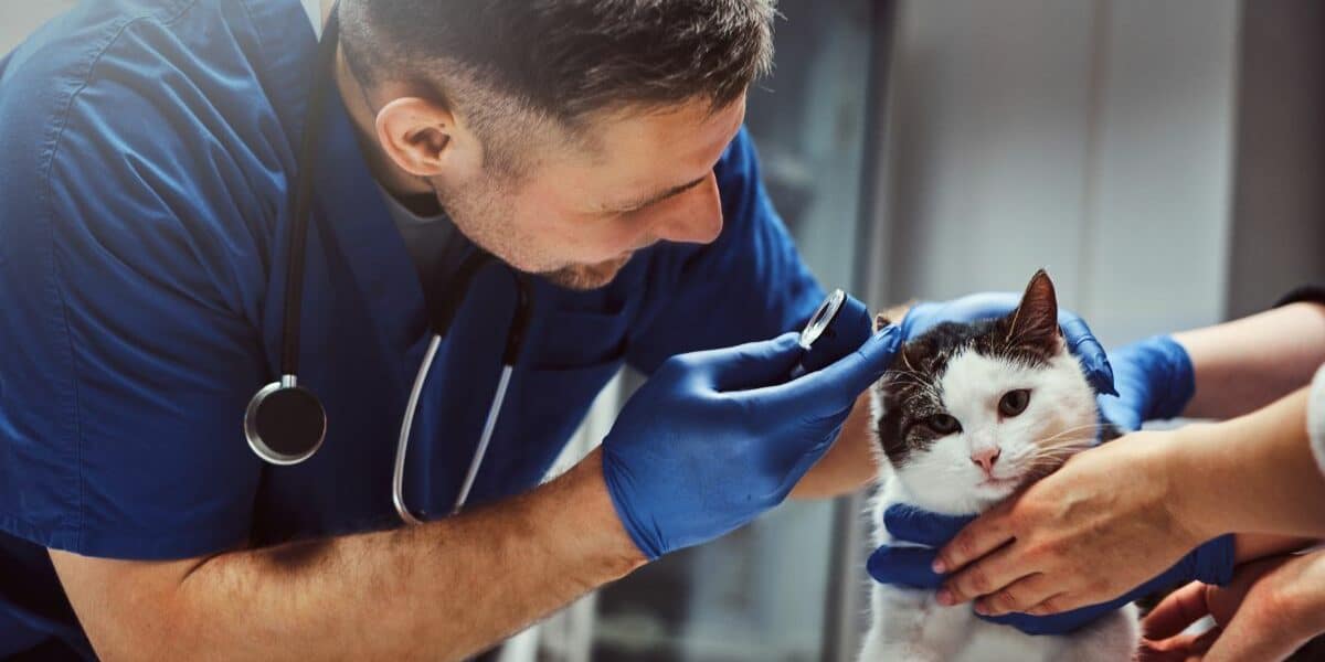 veterinaire remboursement